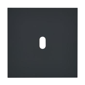  PLQ 1P 1 LEVIER EPURE NOIR MAT 