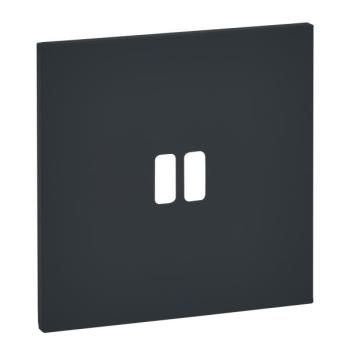  PLAQUE 1P USB EPURE NOIR MAT 