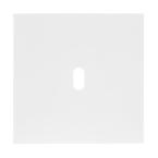  PLQ 1P 1 LEVIER EPURE BLC S 