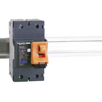  Disj. NG125L 2P 20A Courbe C 