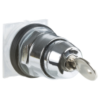  30MM SELECTEUR A CLE RONI 