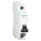  C60H-DC 250VDC 2A 1P C 