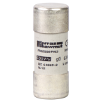  FUSIBLE 22X58 GG 10A 