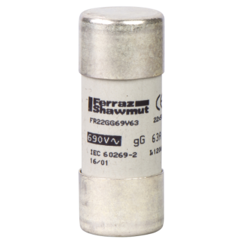  FUSIBLE 22X58 GG 20A 