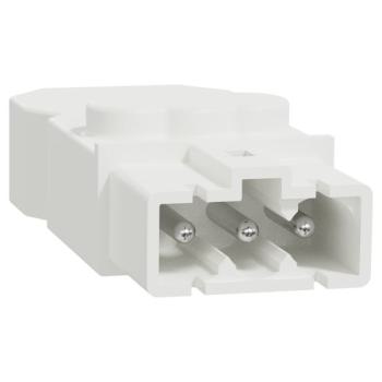  Conn MiniWieland m�le droit x5 