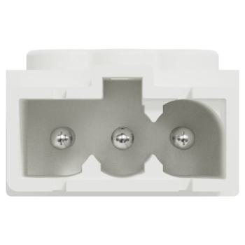  Conn MiniWieland m�le droit x5 