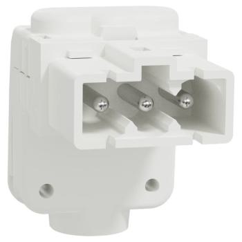  Conn MiniWieland m�le coud� x5 