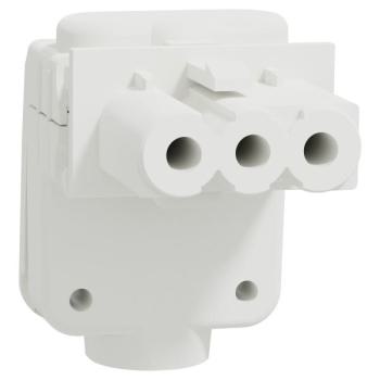  Conn MiniWieland fem coud� x5 