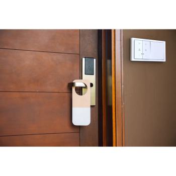  Interrupteur V&V 10A m�ca seul 