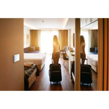  Interrupteur V&V 10A m�ca seul 