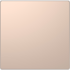  Enjo m�tal couleur champagne 