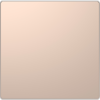  Enjo m�tal couleur champagne 