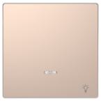  Enjo champagne voyant+lampe 