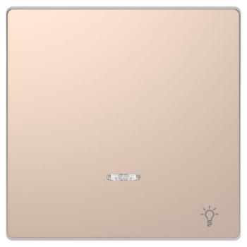  Enjo champagne voyant+lampe 