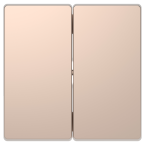  Enjoliveur double champagne 