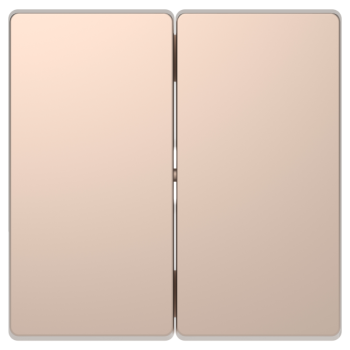  Enjoliveur double champagne 