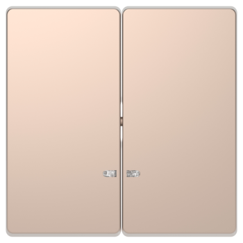  Enjo double champagne voyant 