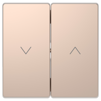  Enjo volets roulants champagne 