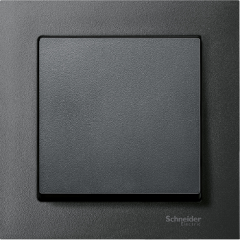  M-PURE CADRE SIMPLE ANTHR 