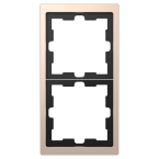  Cadre de finition champagne 2 