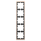  Cadre de finition champagne 5 