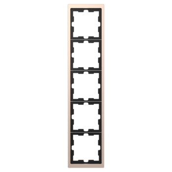  Cadre de finition champagne 5 
