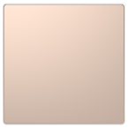  Obturateur champagne 