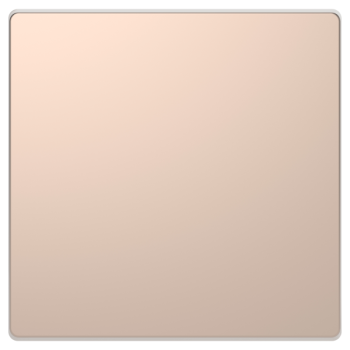  Obturateur champagne 