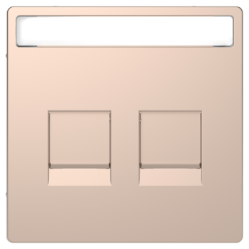  Enjo RJ45 porte-�tiq champagne 