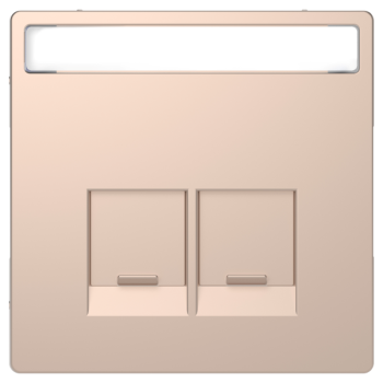  Enjo �tiquette RJ45x2 champ. 