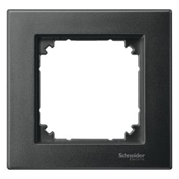  PLAQ SIMPLE PLAN ANTH 