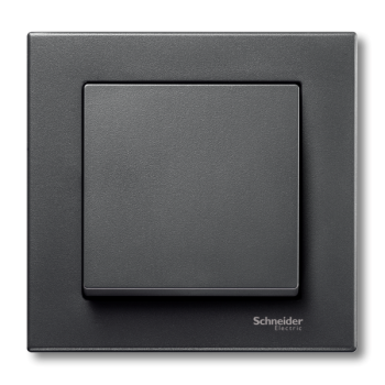  PLAQ SIMPLE PLAN ANTH 