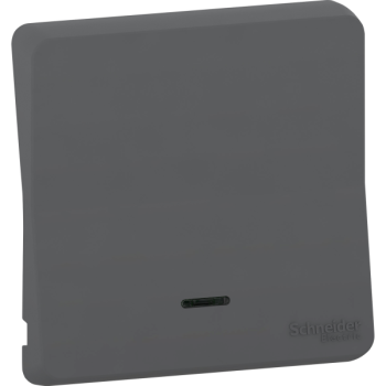  ENJOLIVEUR LENTILLE GRIS 