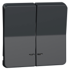  ENJOLIVEUR 2 DEMI GRIS 