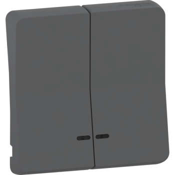  ENJOLIVEUR 2 DEMI GRIS 