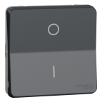  INTER BIPOLAIRE GRIS COM. 