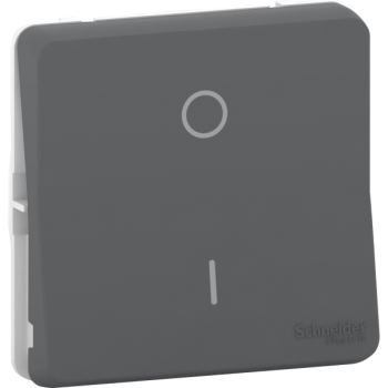  INTER BIPOLAIRE GRIS COM. 