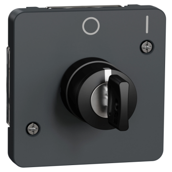  INTER CLE 2 POS GRIS COM. 