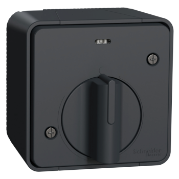  INTER TEMPO GRIS SAILLIE 