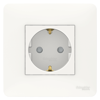  Prise 2P+T DE vis Blanc plaque 