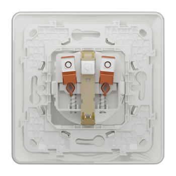  Prise 2P+T DE vis Blanc plaque 