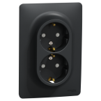  Prise 2x 2P+T DE vis Anth bo1P 