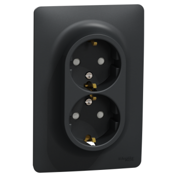  Prise 2x 2P+T DE vis Anth bo1P 