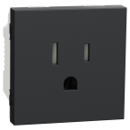  Prise std US 15A  2P+T anthra 