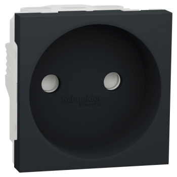  Prise 2P vis 2m Anth 