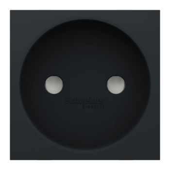  Prise 2P vis 2m Anth 