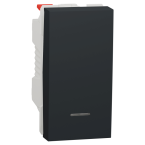  Poussoir lum local 10A 1m Anth 