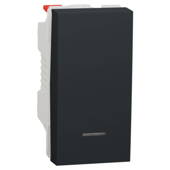  Poussoir lum local 10A 1m Anth 