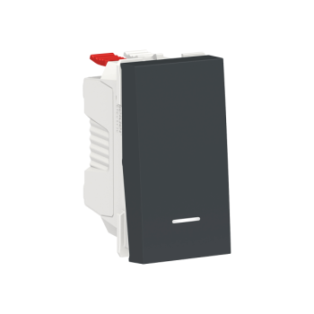  Poussoir lum local 10A 1m Anth 