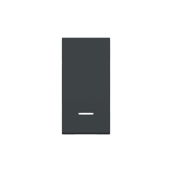  Poussoir lum local 10A 1m Anth 